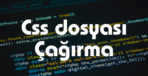 Css dosyası çağırma