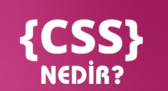Css nedir ?