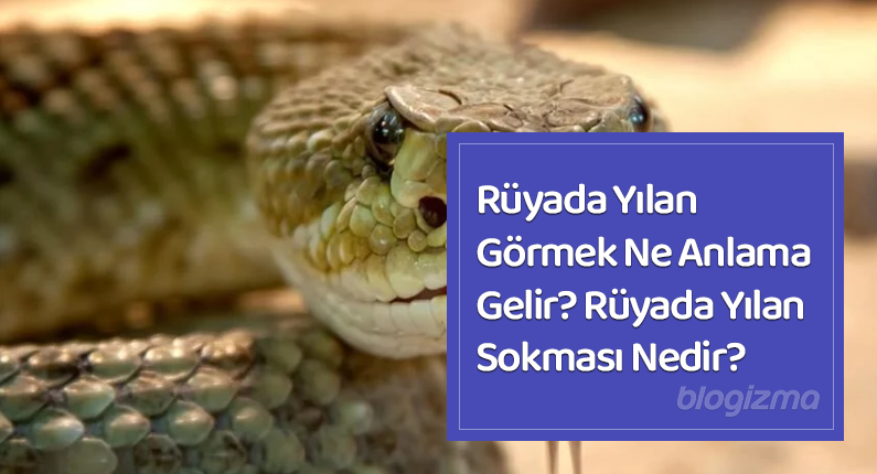 Rüyada Yılan Görmek Ne Anlama Gelir? Rüyada Yılan Sokması Nedir?