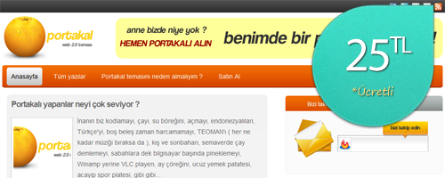 WordPress Portakal Kişisel Blog Teması